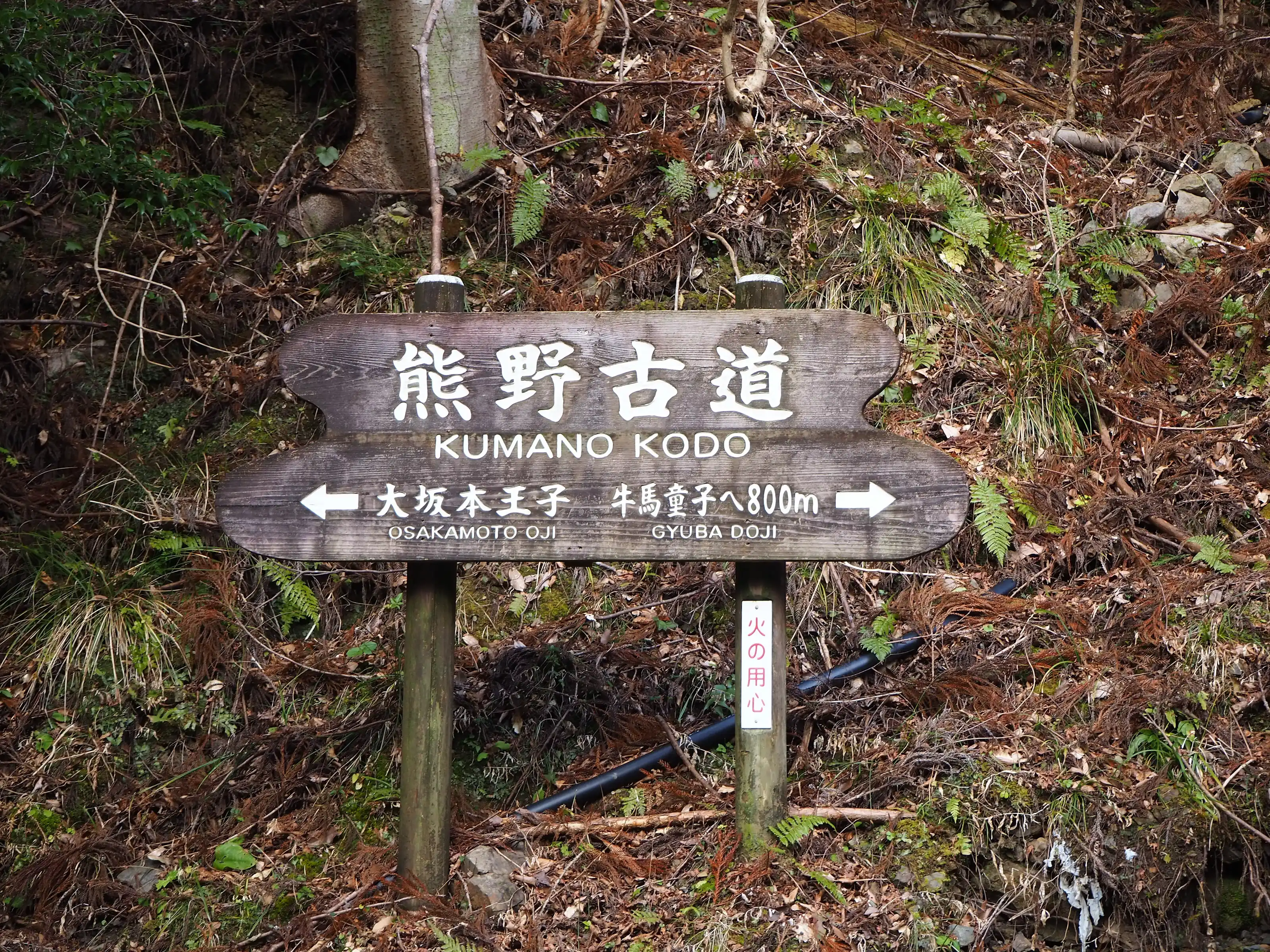 熊野古道林间的木质路标指引